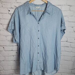 Jane Delancey Baby Blue and White Button Down Shirt